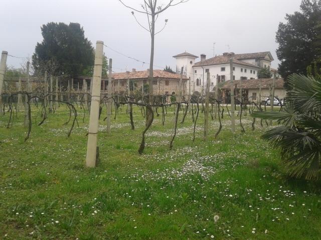 Agrituristico Conte Ottelio Landhaus